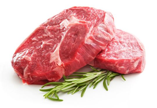 Clean-Meat-Biofasern-Supertek.jpg